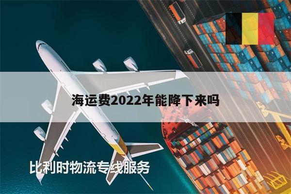 海運(yùn)費(fèi)2022年能降下來嗎