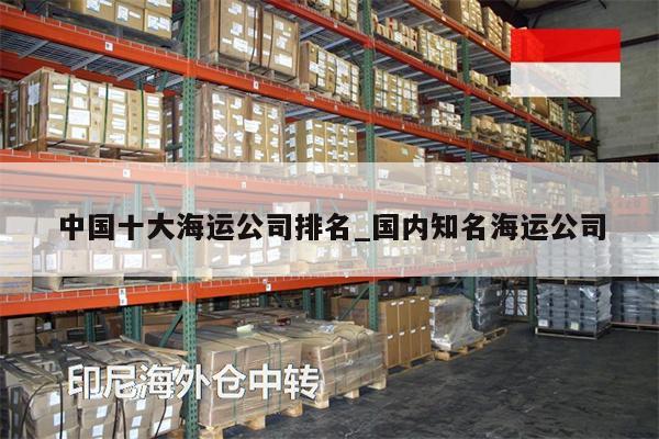 中國十大海運(yùn)公司排名_國內(nèi)知名海運(yùn)公司