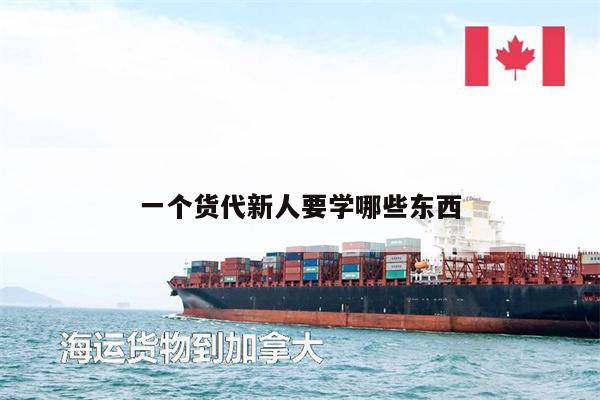 一個貨代新人要學哪些東西