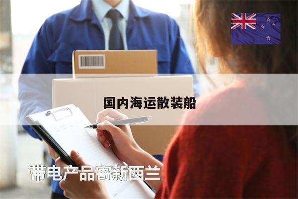 國內(nèi)海運(yùn)散裝船