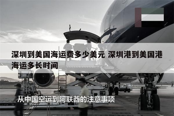 深圳到美國海運(yùn)費(fèi)多少美元 深圳港到美國港海運(yùn)多長時間