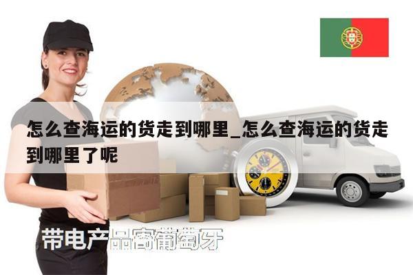怎么查海運(yùn)的貨走到哪里_怎么查海運(yùn)的貨走到哪里了呢