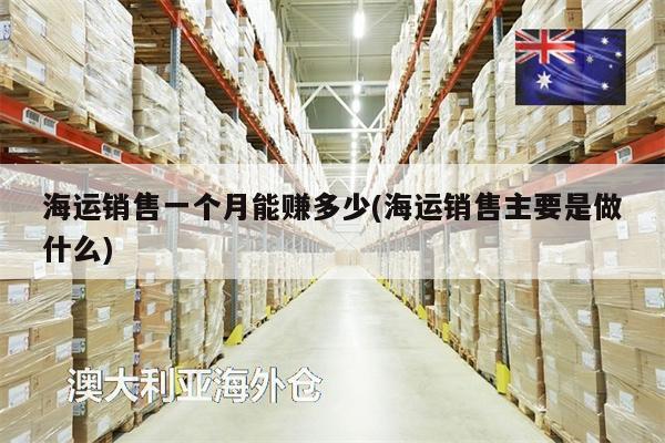 海運銷售一個月能賺多少(海運銷售主要是做什么)