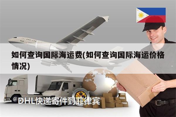 如何查詢國(guó)際海運(yùn)費(fèi)(如何查詢國(guó)際海運(yùn)價(jià)格情況)