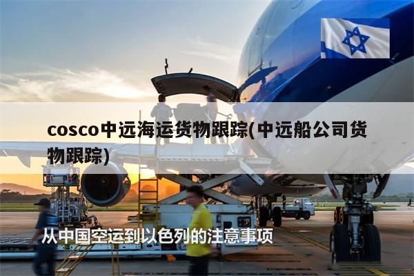 cosco中遠海運貨物跟蹤(中遠船公司貨物跟蹤)