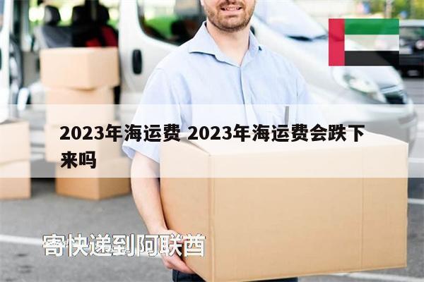 2023年海運費 2023年海運費會跌下來嗎