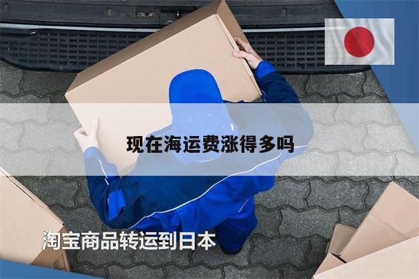 現(xiàn)在海運(yùn)費(fèi)漲得多嗎