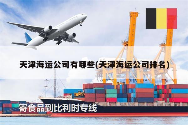 天津海運(yùn)公司有哪些(天津海運(yùn)公司排名)