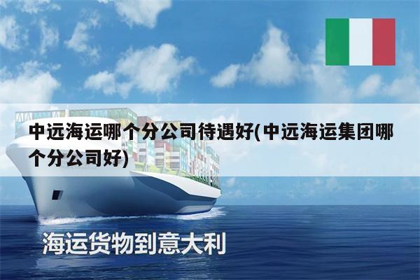 中遠(yuǎn)海運(yùn)哪個(gè)分公司待遇好(中遠(yuǎn)海運(yùn)集團(tuán)哪個(gè)分公司好)
