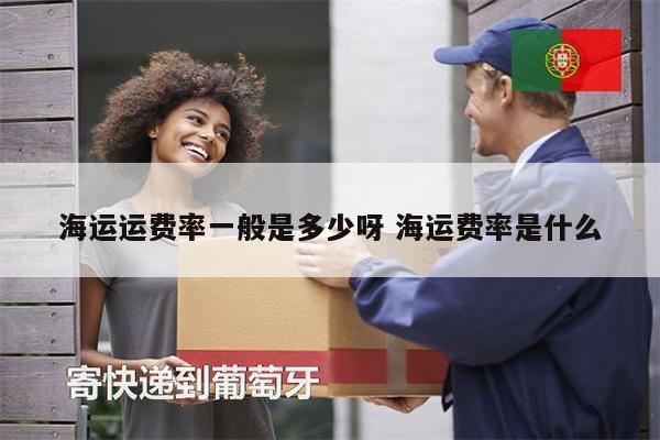 海運(yùn)運(yùn)費(fèi)率一般是多少呀 海運(yùn)費(fèi)率是什么