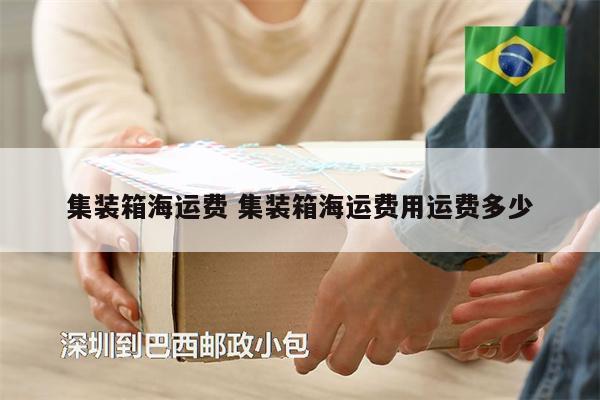 集裝箱海運費 集裝箱海運費用運費多少
