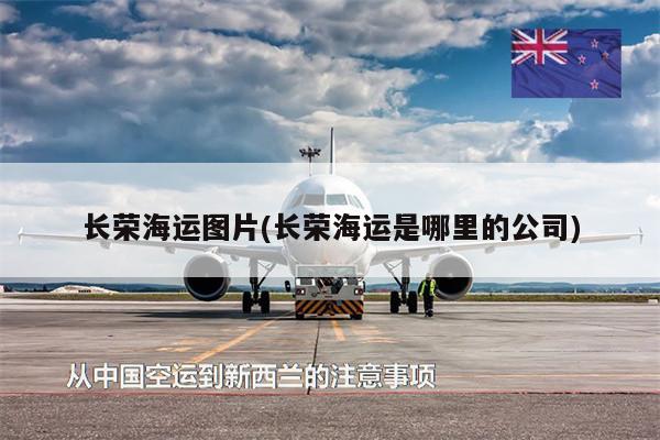 長(zhǎng)榮海運(yùn)圖片(長(zhǎng)榮海運(yùn)是哪里的公司)