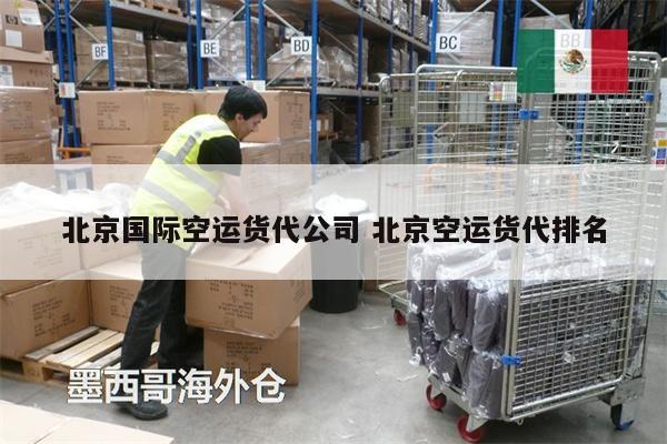 北京國際空運(yùn)貨代公司 北京空運(yùn)貨代排名