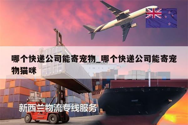 哪個(gè)快遞公司能寄寵物_哪個(gè)快遞公司能寄寵物貓咪