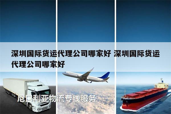 深圳國際貨運(yùn)代理公司哪家好 深圳國際貨運(yùn)代理公司哪家好