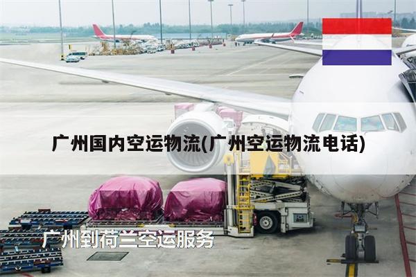 廣州國內(nèi)空運(yùn)物流(廣州空運(yùn)物流電話)