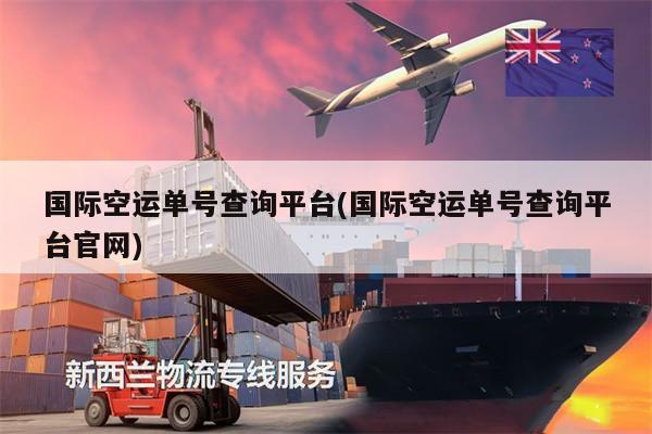 國(guó)際空運(yùn)單號(hào)查詢平臺(tái)(國(guó)際空運(yùn)單號(hào)查詢平臺(tái)官網(wǎng))