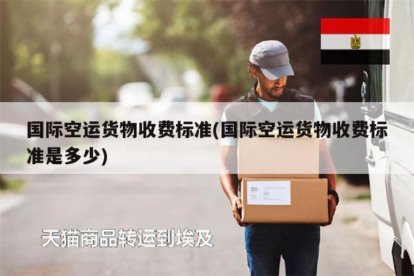 國(guó)際空運(yùn)貨物收費(fèi)標(biāo)準(zhǔn)(國(guó)際空運(yùn)貨物收費(fèi)標(biāo)準(zhǔn)是多少)