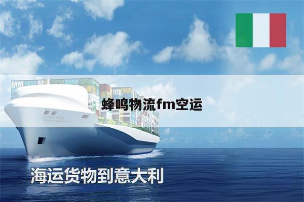 蜂鳴物流fm空運(yùn)