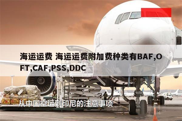 海運運費 海運運費附加費種類有BAF,OFT,CAF,PSS,DDC
