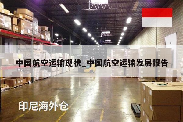 中國(guó)航空運(yùn)輸現(xiàn)狀_中國(guó)航空運(yùn)輸發(fā)展報(bào)告