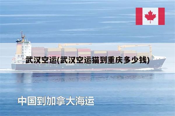 武漢空運(yùn)(武漢空運(yùn)貓到重慶多少錢)