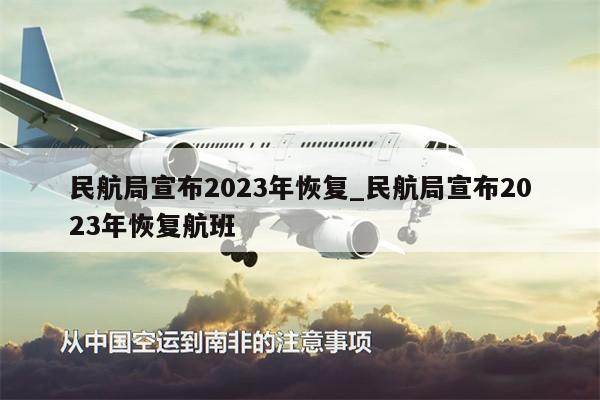 民航局宣布2023年恢復(fù)_民航局宣布2023年恢復(fù)航班