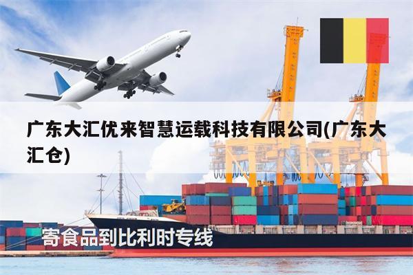 廣東大匯優(yōu)來智慧運(yùn)載科技有限公司(廣東大匯倉(cāng))
