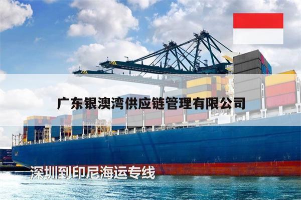 廣東銀澳灣供應(yīng)鏈管理有限公司