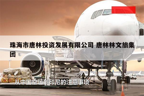 珠海市唐林投資發(fā)展有限公司 唐林林文旅集團(tuán)