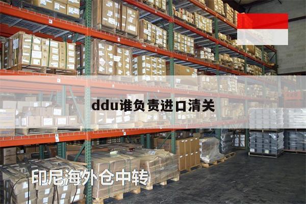 ddu誰負(fù)責(zé)進(jìn)口清關(guān)