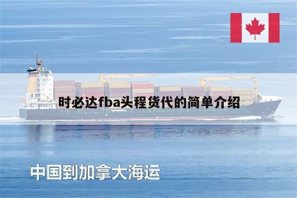 時(shí)必達(dá)fba頭程貨代的簡單介紹