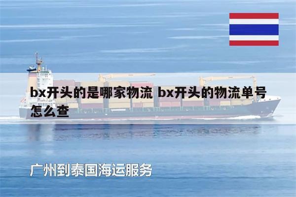 bx開頭的是哪家物流 bx開頭的物流單號(hào)怎么查