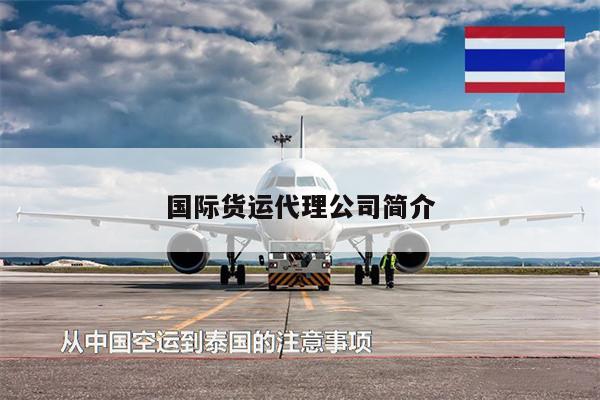 國際貨運代理公司簡介