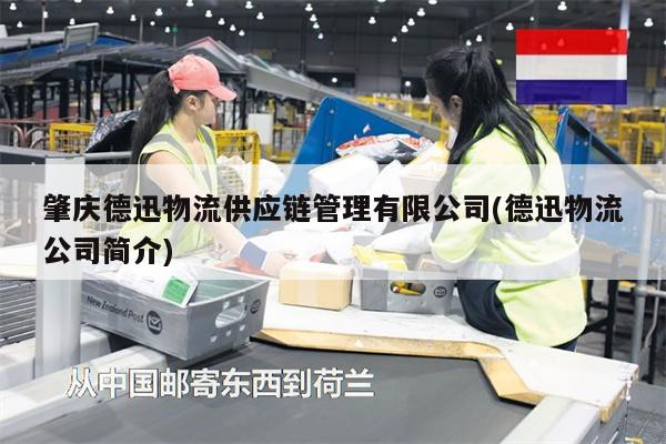 肇慶德迅物流供應鏈管理有限公司(德迅物流公司簡介)
