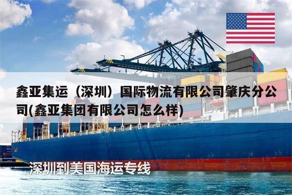 鑫亞集運（深圳）國際物流有限公司肇慶分公司(鑫亞集團有限公司怎么樣)
